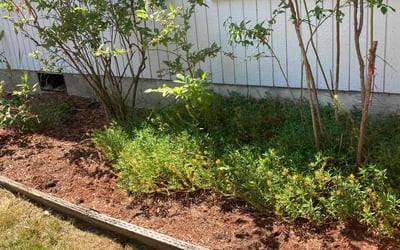 Photo of Jane J.'s yard after getting landscaping in Beaverton, OR