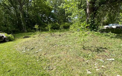 Photo of James R.'s yard after getting landscaping in South Solon, OH