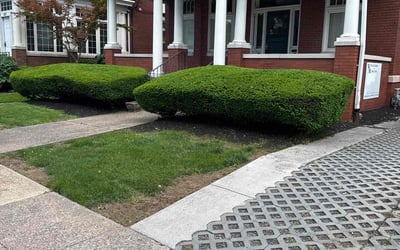 Photo of William M.'s yard after getting landscaping in Harrisburg, PA