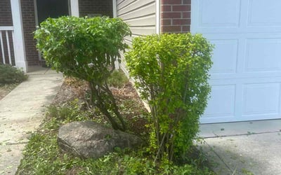 Photo of Aaron B.'s yard after getting landscaping in Avon, IN