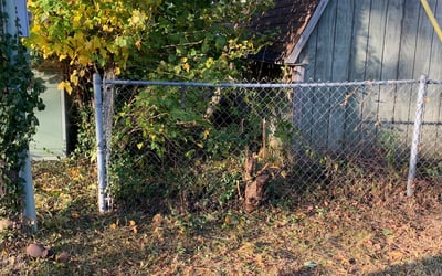 Photo of Angela P.'s yard after getting landscaping in Sheridan, IN