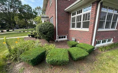 Photo of Lydia S.'s yard after getting tree care in Chicago, IL