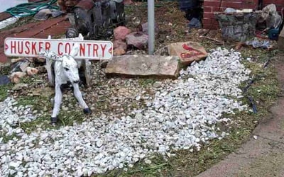 Photo of Michelle K.'s yard after getting landscaping in Omaha, NE