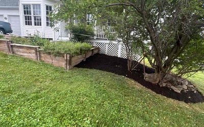 Photo of Sal S.'s yard after getting tree care in Potomac, MD
