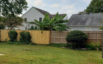 Photo of Stephanie A.'s yard after getting landscaping in White Marsh, VA