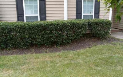 Photo of Barry B.'s yard after getting landscaping in Hickory Grove, SC