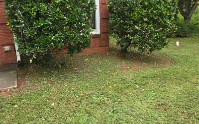 Photo of Richard S.'s yard after getting landscaping in Conyers, GA