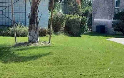 Photo of Candace T.'s yard after getting landscaping in Cat Spring, TX