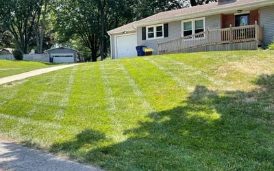 Photo of Lisa K.'s yard after getting landscaping in Hardin, MO