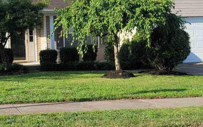 Photo of Kristen B.'s yard after getting landscaping in Felicity, OH