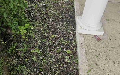 Photo of Stephanie P.'s yard after getting landscaping in Pendleton, IN