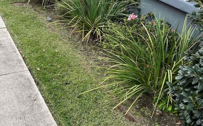 Photo of Rebecca F.'s yard after getting landscaping in Belle Chasse, LA