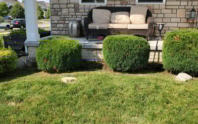 Photo of Carol C.'s yard after getting landscaping in Baltimore, OH