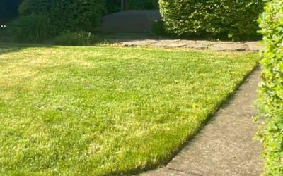 Photo of Michael L.'s yard after getting landscaping in Aurora, OR