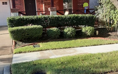 Photo of Siddharth M.'s yard after getting landscaping in Commerce, TX