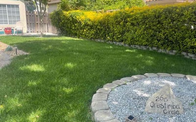 Photo of Shawn S.'s yard after getting landscaping in Acampo, CA