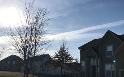 Photo of Anthony M.'s yard after getting landscaping in Dearborn, MO