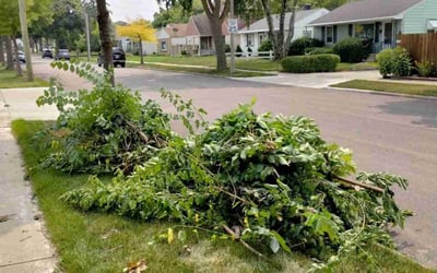 Photo of Brad H.'s yard after getting landscaping in West Bend, WI