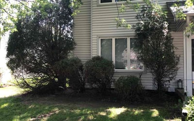 Photo of Carol M.'s yard after getting landscaping in Glenwood City, WI