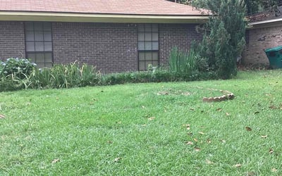 Photo of Jim H.'s yard after getting landscaping in Jackson, MS
