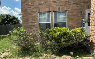 Photo of Alicia S.'s yard after getting landscaping in Cibolo, TX
