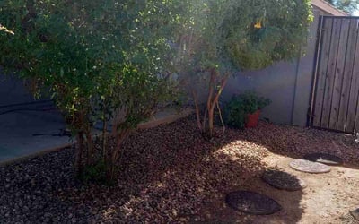 Photo of KC S.'s yard after getting landscaping in Wittmann, AZ