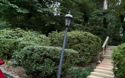 Photo of Moses M.'s yard after getting tree care in Laurel, MD