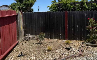 Photo of Patricia H.'s yard after getting landscaping in Vallejo, CA