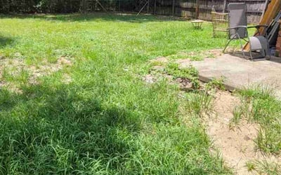 Photo of Jason R.'s yard after getting landscaping in Milton, FL
