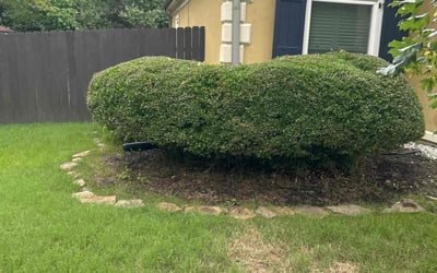 Photo of Lisa R.'s yard after getting landscaping in Memphis, TN