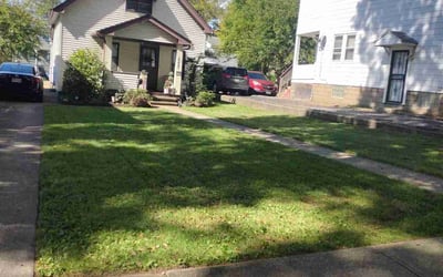 Photo of Anna S.'s yard after getting landscaping in Perry, OH