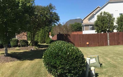 Photo of Cheryl L.'s yard after getting landscaping in Pine Level, NC