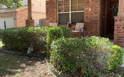 Photo of David B.'s yard after getting landscaping in Randolph A F B, TX