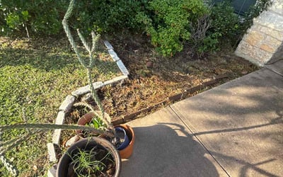 Photo of Pam P.'s yard after getting landscaping in Austin, TX