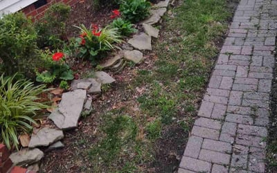 Photo of Matthew H.'s yard after getting landscaping in Norfolk, VA