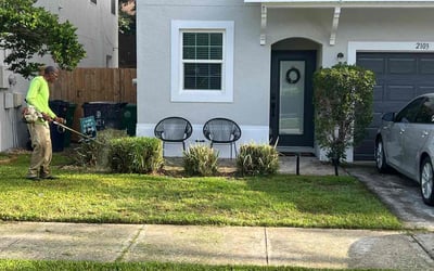 Photo of Anthony S.'s yard after getting landscaping in Elfers, FL
