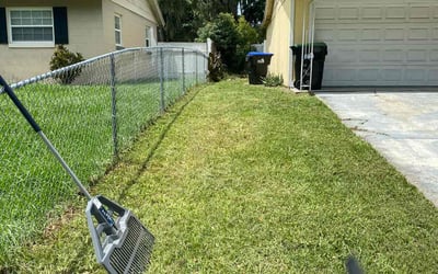 Photo of David M.'s yard after getting landscaping in Orlando, FL