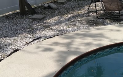 Photo of Matthew A.'s yard after getting landscaping in Dover, FL