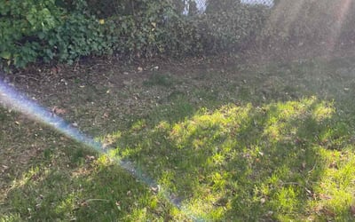 Photo of Jennifer C.'s yard after getting landscaping in Locust Valley, NY
