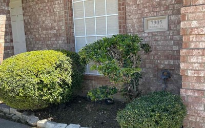 Photo of Christina A.'s yard after getting landscaping in Whitt, TX