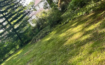 Photo of Monica F.'s yard after getting landscaping in New Haven, CT
