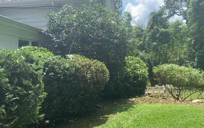 Photo of Thomas D.'s yard after getting landscaping in Delaplane, VA