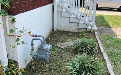 Photo of Taylor S.'s yard after getting landscaping in Owensboro, KY