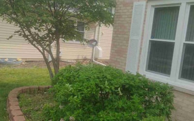 Photo of Deborah M.'s yard after getting landscaping in Bolingbrook, IL