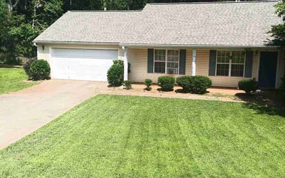 Photo of Donna T.'s yard after getting landscaping in Bethlehem, GA