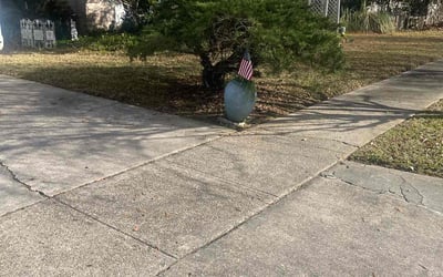 Photo of Shirley W.'s yard after getting landscaping in Greenwell Springs, LA
