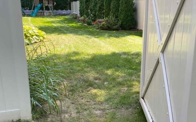 Photo of Patricia J.'s yard after getting lawn care in Stamford, CT