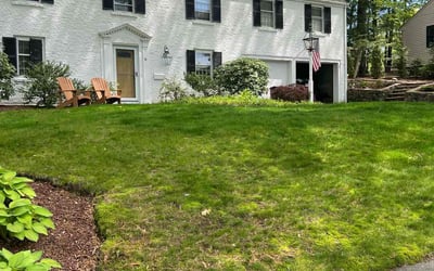 Photo of Patrick D.'s yard after getting landscaping in Boxford, MA