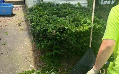 Photo of Patrick M.'s yard after getting landscaping in Hartford, CT