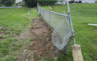 Photo of Ann S.'s yard after getting landscaping in Omaha, NE